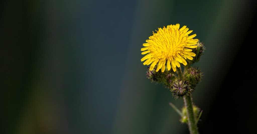 ChatGPTという名前の意味をわかりやすく説明する図解