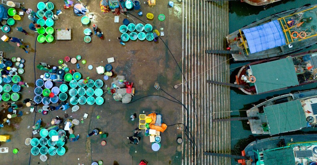 アフィリエイトを始める初心者がブログを開設し記事を書くステップを示すイメージ図